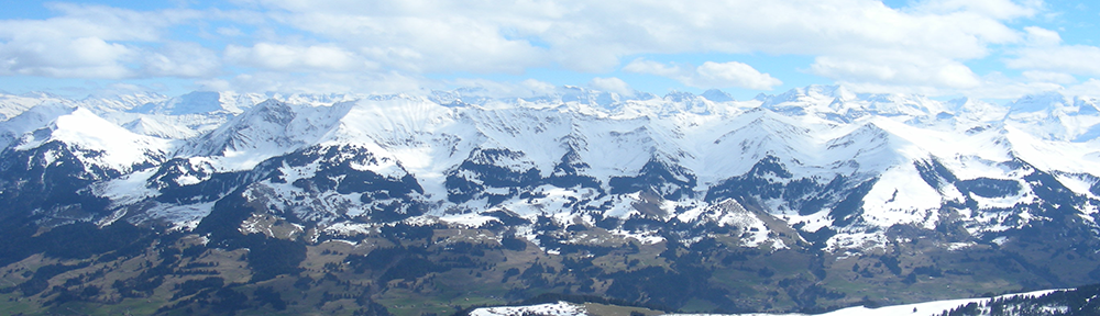 Kniebrett-Fliegerblog.ch